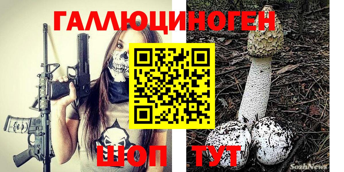 купить наркотик  Псилоцибиновые грибы Psilocybine cubensis  Керчь  Вход с VPN  Псилоцибиновые грибы Psilocybe 