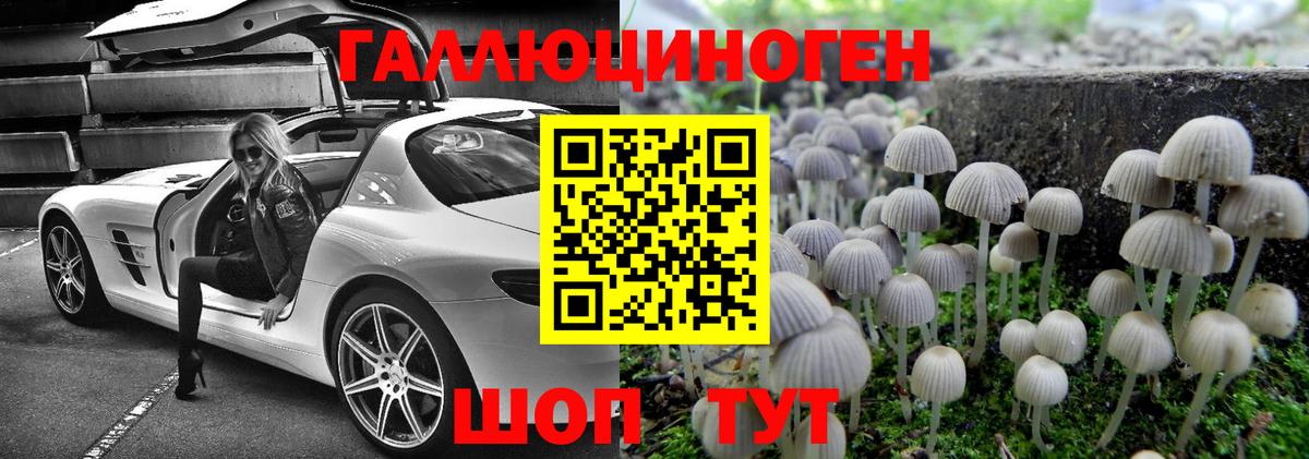 Галлюциногенные грибы мицелий Керчь